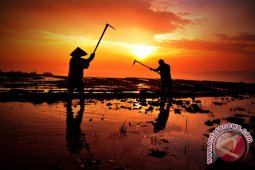 Hijrahnya Petani Dusun ke Panggung Politik