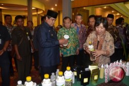 Gubernur: Agroindustri kelapa perlu dikembangkan di Jambi
