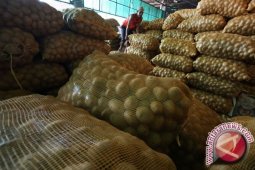 Stok Kentang di Pangkalpinang Cukup
