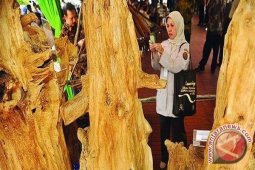 Pemkab Lamandau Promosikan Ikon Andalan Gaharu 