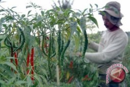 Indocement  Ajak Petani Desa Binaan