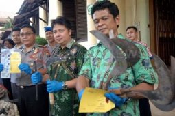 Jaringan Rampok AntarProvinsi