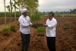 Kampanye Jusuf Kalla