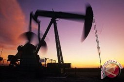 Harga minyak dunia terus menguat