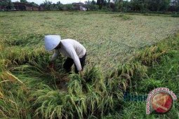 Pemkab Targetkan 39 Desa Mandiri Pada 2015