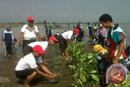 Polisi Bangka Tanam 800 Batang Bakau
