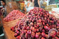 Stok Bawang Merah di Babel 24 Ton