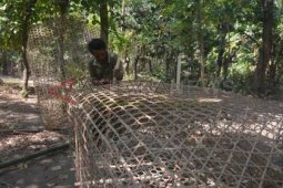 Perangkap Ikan