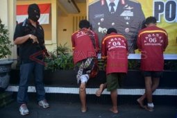 Ungkap Pencurian Hewan