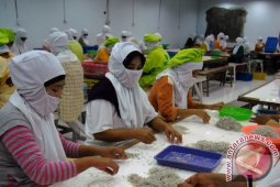 Sortir Teri Lokal