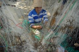 Menjaring Rumput Laut