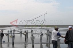Senandung Kepak Camar di Pulau Sarinah