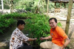 Bambu Miliki Kemampuan Setara Besi dan Beton
