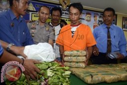 Polres Badung Amankan Pengedar Ganja Di LP
