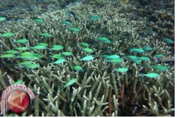 Nusa Penida Jadi Kawasan Konservasi Perairan
