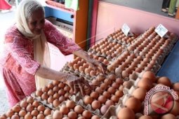 Harga Telur Terus Naik