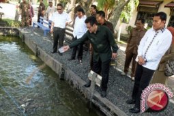 Balai Benih Binuang Siap Hadapi Mt 2016