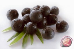 Belum Coba Acai? Jangan Ngaku ke Brazil