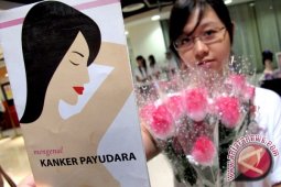 Kolesterol Tinggi Dapat Saja Sebabkan Kanker Payudara
