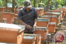 Tala Farmers Develops Honey Bees