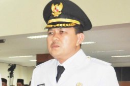 Wabup: Kubu Raya  Alami Surplus Beras Sekitar 40.000 Ton,