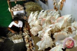 Pemkab Tingkatkan Kreativitas Perajin Kerang Melalui Lomba