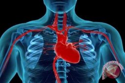 10 Hal Untuk Lindungi Jantung Anda