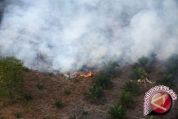 Kebakaran Riau Hanguskan 848 Hektar Lahan