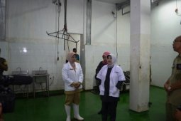 Wabup: Stok daging cukup untuk Ramadhan-lebaran