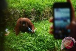 Wisata Lebaran ke Kebun Binatang