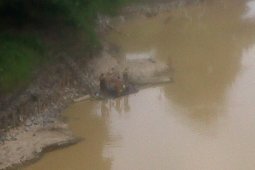 Polisi Hanyut Saat Penertiban PETI Belum Ditemukan