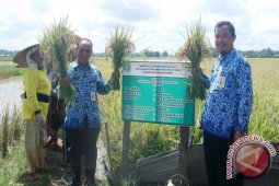 Petani Dihimbau Dapat Gunakan Pupuk Organik