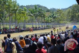 Lomba Pacuan Kuda Meriahkan Lebaran Ketupat