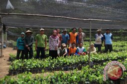 Ratusan Petani Bangka Barat Ikuti Seminar Lada