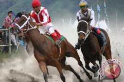 Ratusan Kuda "Gayo" Dipastikan Ikut Pacuan Tradisional
