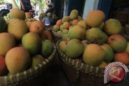 Mentan bawa benih senilai Rp27 miliar untuk masyarakat Cirebon