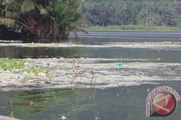 Waduh....Danau di Indonesia sudah banyak yang tercemar