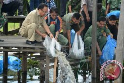 LEPAS BIBIT IKAN