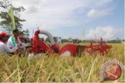Petani Agar Dibantu Teknologi Pascapanen