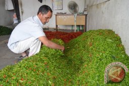 Harga cabai rawit di Meulaboh Rp70 ribu/kg
