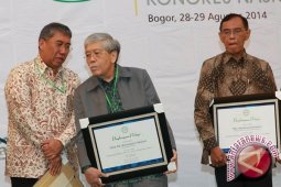 Revolusi Hijau Miliki Dampak Positif-Negatif