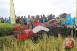 Gerakan Panen Raya Desa Sebakung PPU