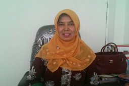 Tiga Negara Investasi 156 Proyek di Kalbar