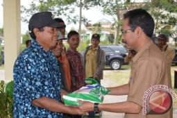 Kelompok Tani di Bener Meriah Dapat Bibit