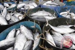 Harga Ikan di Aceh Selatan Melambung