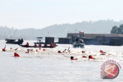 Lomba Renang Menyeberangi  Sungai Mahakam