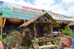 22 Kabupaten/Kota Peringati HAI ke 49 di Takengon