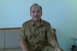 Banten Prediksi Produksi Ayam Pedaging Naik