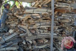 Beralih ke Kayu Bakar