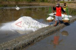 Buruh Angkut Garam